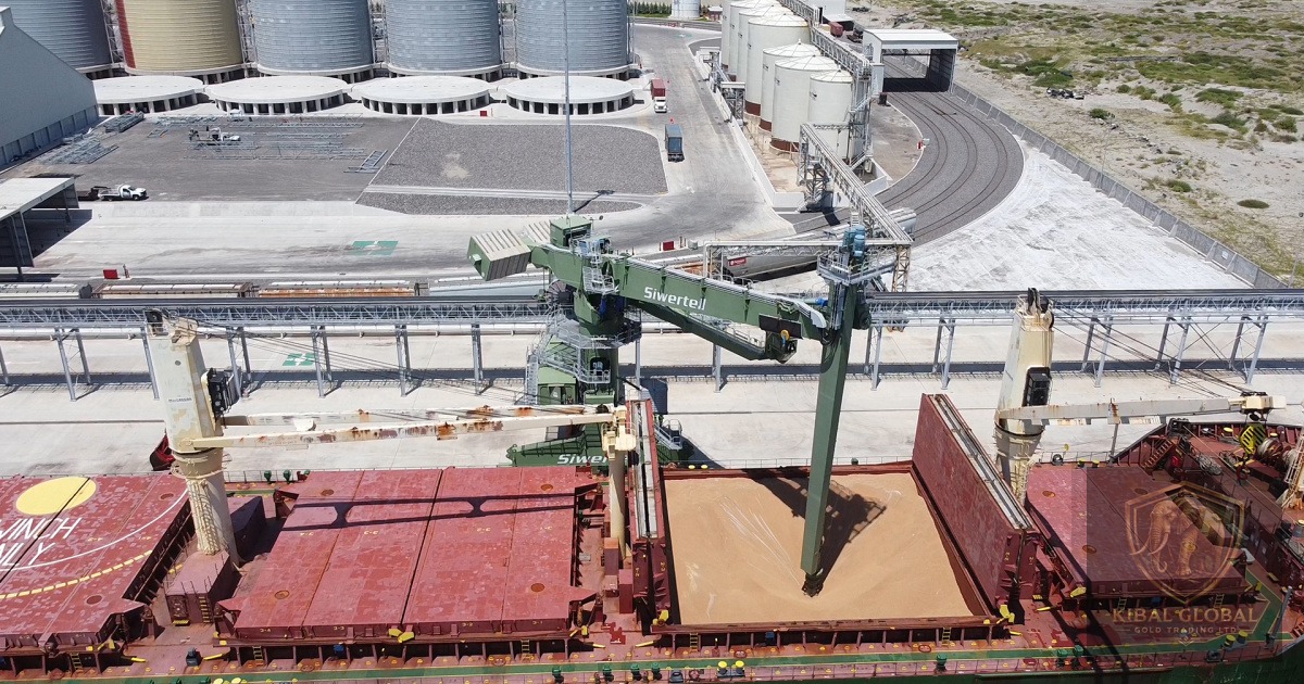 Iron ore customs clearance and port stockyard inspection